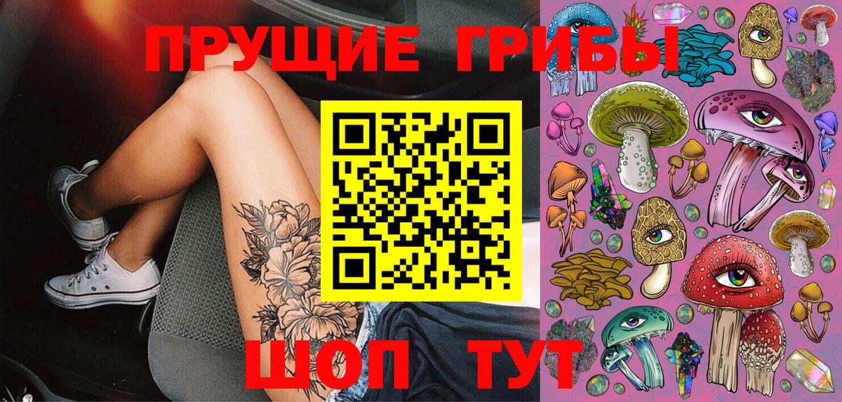 Псилоцибиновые грибы Psilocybe Коммунар