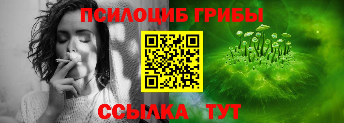 Коммунар  Галлюциногенные грибы MAGIC MUSHROOMS  Вход с VPN  Галлюциногенные грибы Psilocybe 